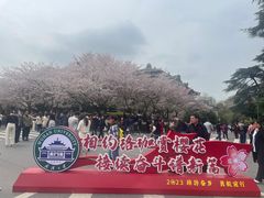 -武汉大学-樱园