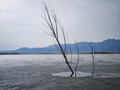 -野鸭湖国家湿地公园