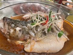 清蒸鲈鱼-丽华园(青少年宫店)