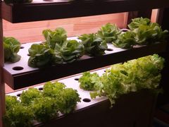 -满堂欢豆捞坊(美丽华大酒店店)