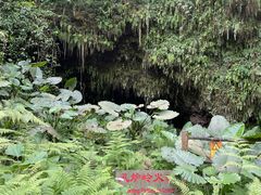 -海口火山口国家地质公园