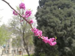 -山东师范大学(千佛山校区)