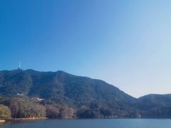 -深圳仙湖植物园