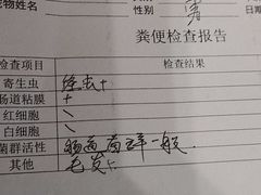 -宠颐生贝利健动物医院(谢家湾分院)