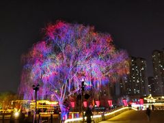 -北山公园