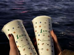 -西湖外事游船(花港观鱼码头)