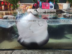 -鸿通城购物中心