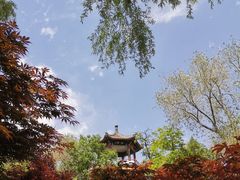 -莲花池公园
