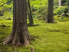 -三千院