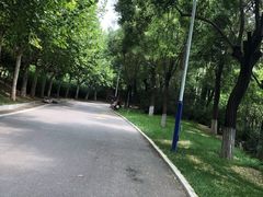 -河北省园博园