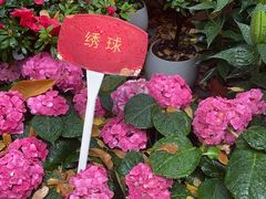 -广州文化公园