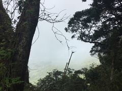 -七仙岭温泉国家森林公园