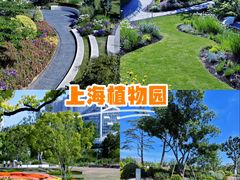 -上海植物园-4号门售票处