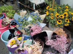 -循礼门鲜花花市(武汉循礼门店)