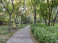 -森林公园(尖草坪区)