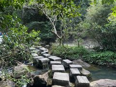 -广州白江湖森林公园