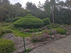 -铁山坪森林公园