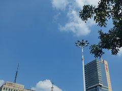 -紫峰大厦