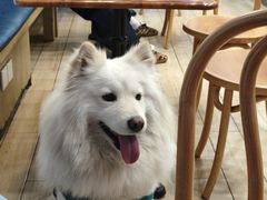 -OZ cafe(南昌路店)