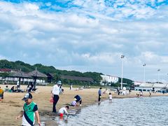 -碧海金沙