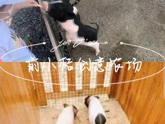 -前小桔亲子创意农场·草莓采摘·露营烧烤