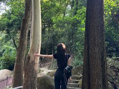 -火炉山森林公园