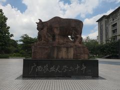 -广西大学(大学东路校区)