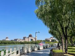 -莲花池公园
