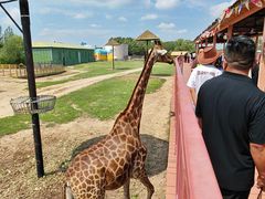 -鄂尔多斯野生动物园