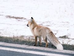 -华晨宝马铁西工厂