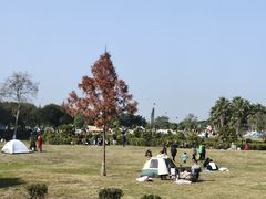 -蜀绣公园