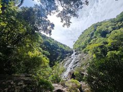 -海南热带雨林国家公园吊罗山景区