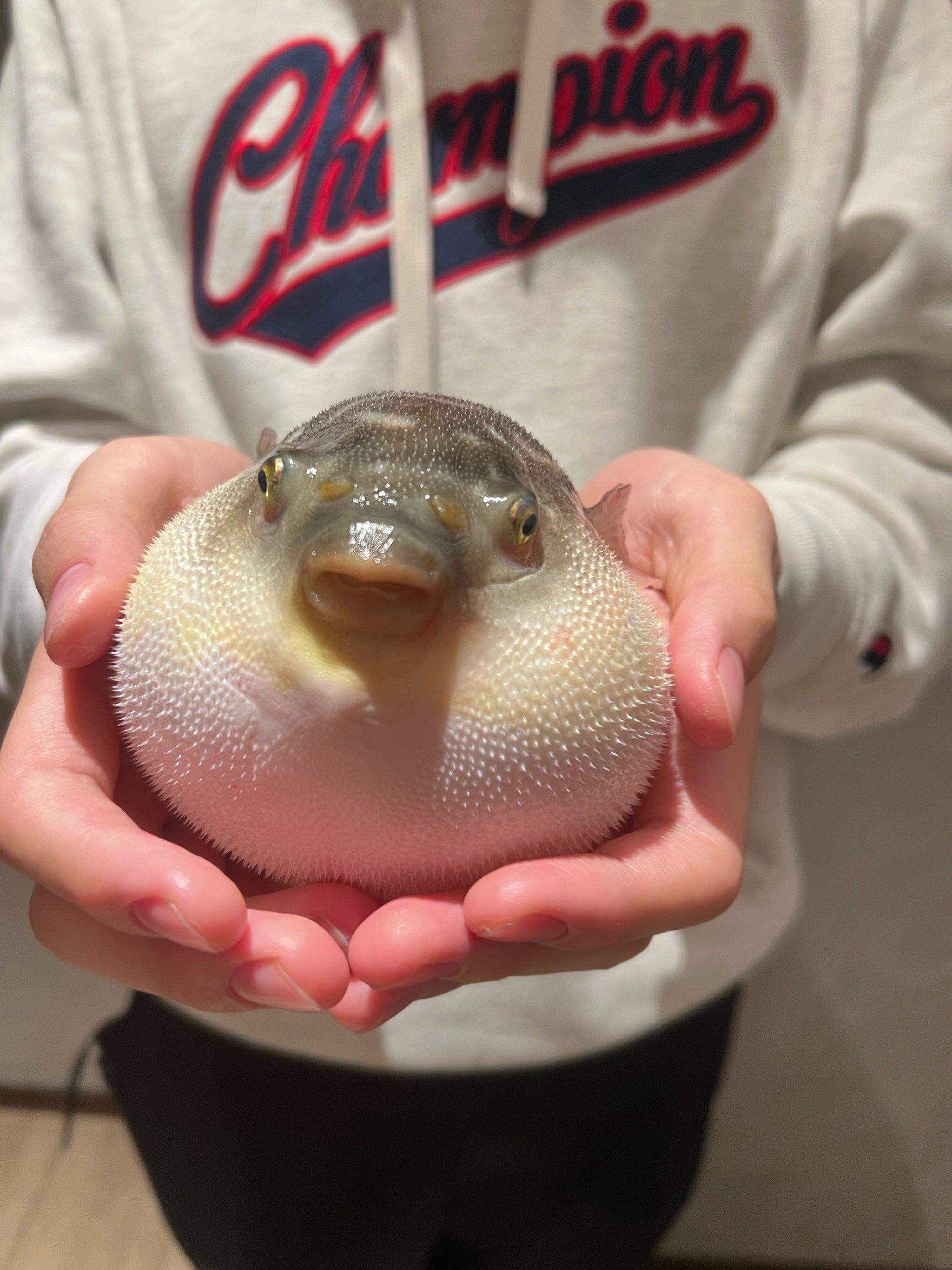 小朋友非常喜欢的环节,用餐环境干净整洁