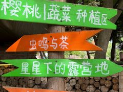 -白鹿原樱桃园