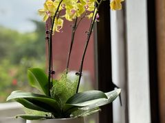 景观位-杭州香格里拉·香宫中餐厅