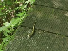 -四洞沟景区