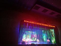 -勐巴拉娜西大剧院