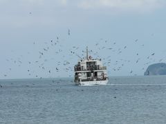 -海驴岛(荣成市)