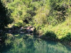 -广州白江湖森林公园