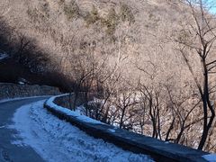 -北京西山国家森林公园