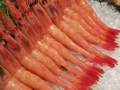 阿根廷红虾-柚子(假日店)