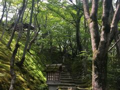 -常寂光寺