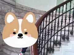 -中国福利会少年宫