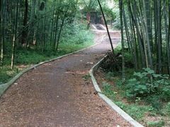 -青龙山国家森林公园