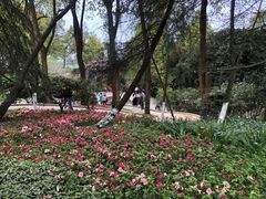 -南山植物园