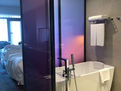 -南京禄口机场雅高铂尔曼大酒店