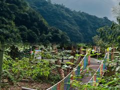 -宁波五龙潭景区