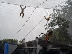 -大连森林动物园