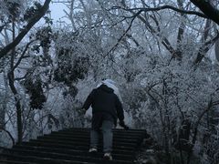 -紫金山山顶公园