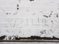 -武陵山森林公园